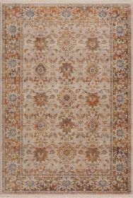 Stylish Classic Pattern Design Vintage Bohemian Southwestern Sierra Area Rug (Color: Ivory|Beige, size: 5' X 8')